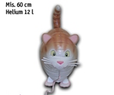 gatto_mylar