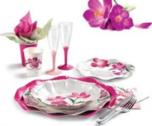 piatti oleandro balloonstore via padova 298 milano tel 0227202312