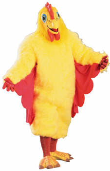 pollo