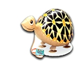 tartaruga_mylar