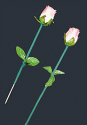 torcia_in_rosa